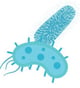 Targeted Strain Selection:
